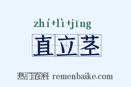 直立茎是什么意思的图片